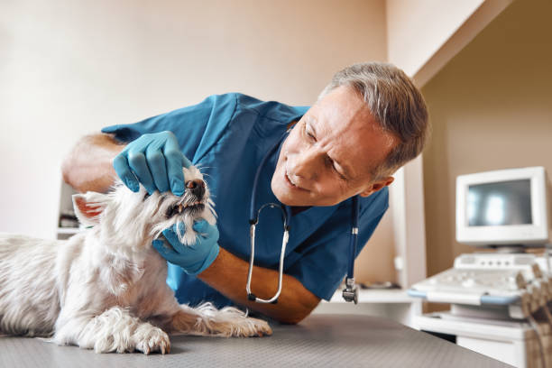  Avenel, NJ Emergency Dentist Pros